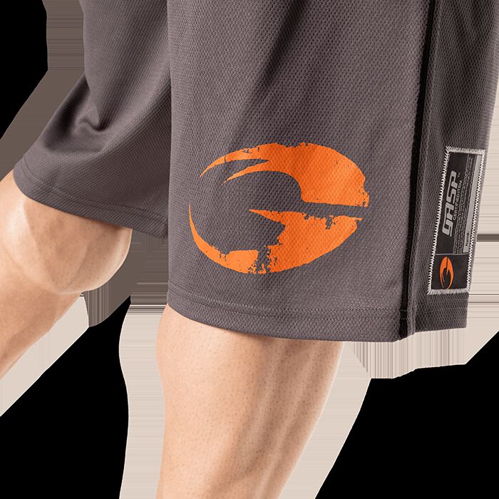 Pro Mesh Shorts, Grey