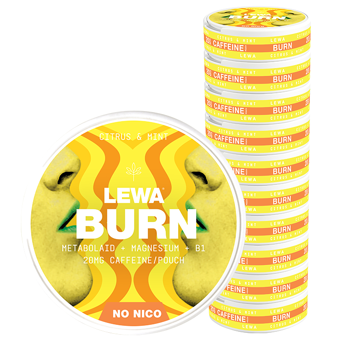 Functional NoNico Burn Nikotinfri poser Citrus/Mynte 10 pakker BURN Citrus/Mint