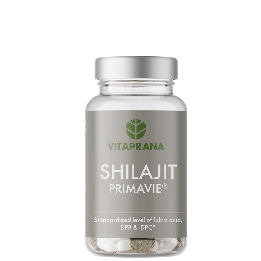 Shilajit 80 kapsler